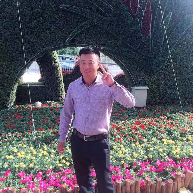 小海豚浅吻纯情的照片