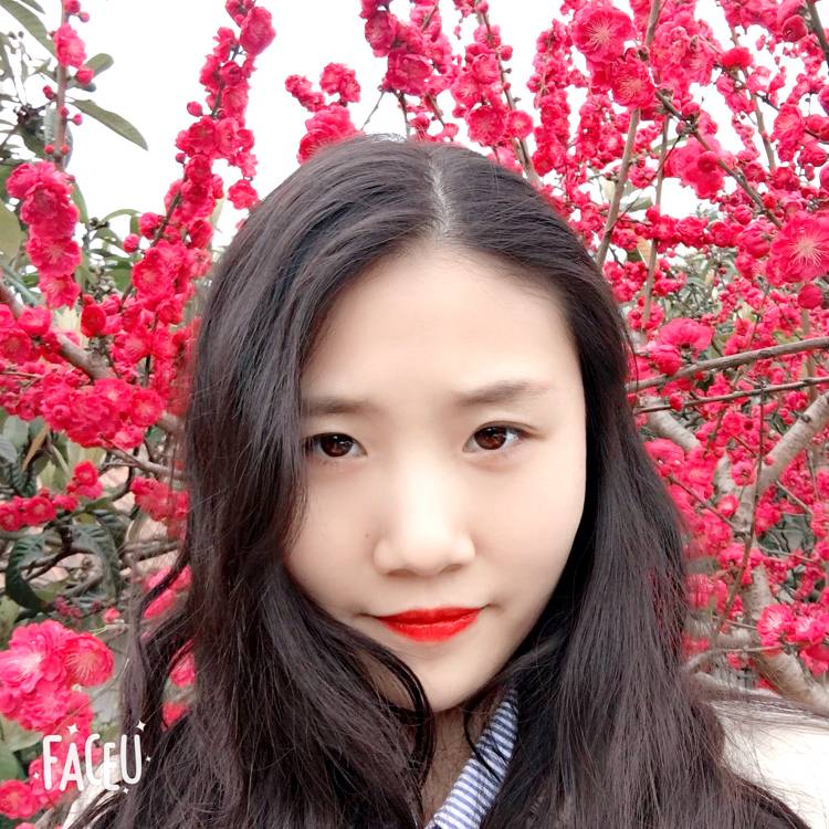 向日葵爱温柔的照片