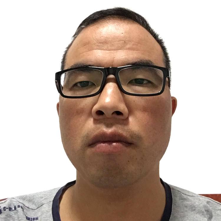 笑点低那刺猬的照片