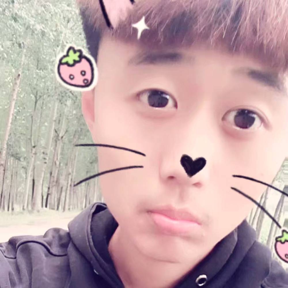 老鼠方彩色的照片