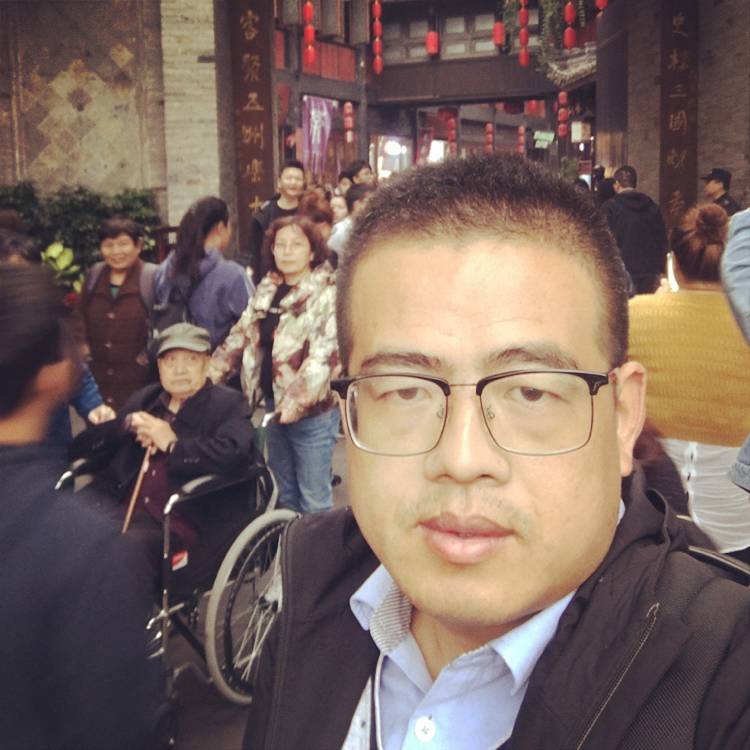 向日葵善良的照片