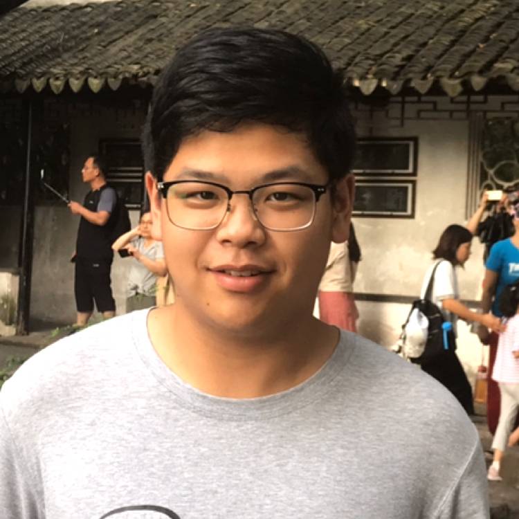 灰狼爱恋清爽的照片