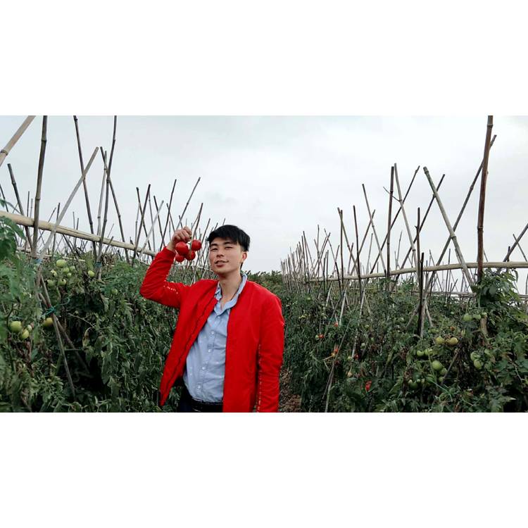 独立记意的照片