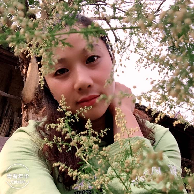 吗呀的照片