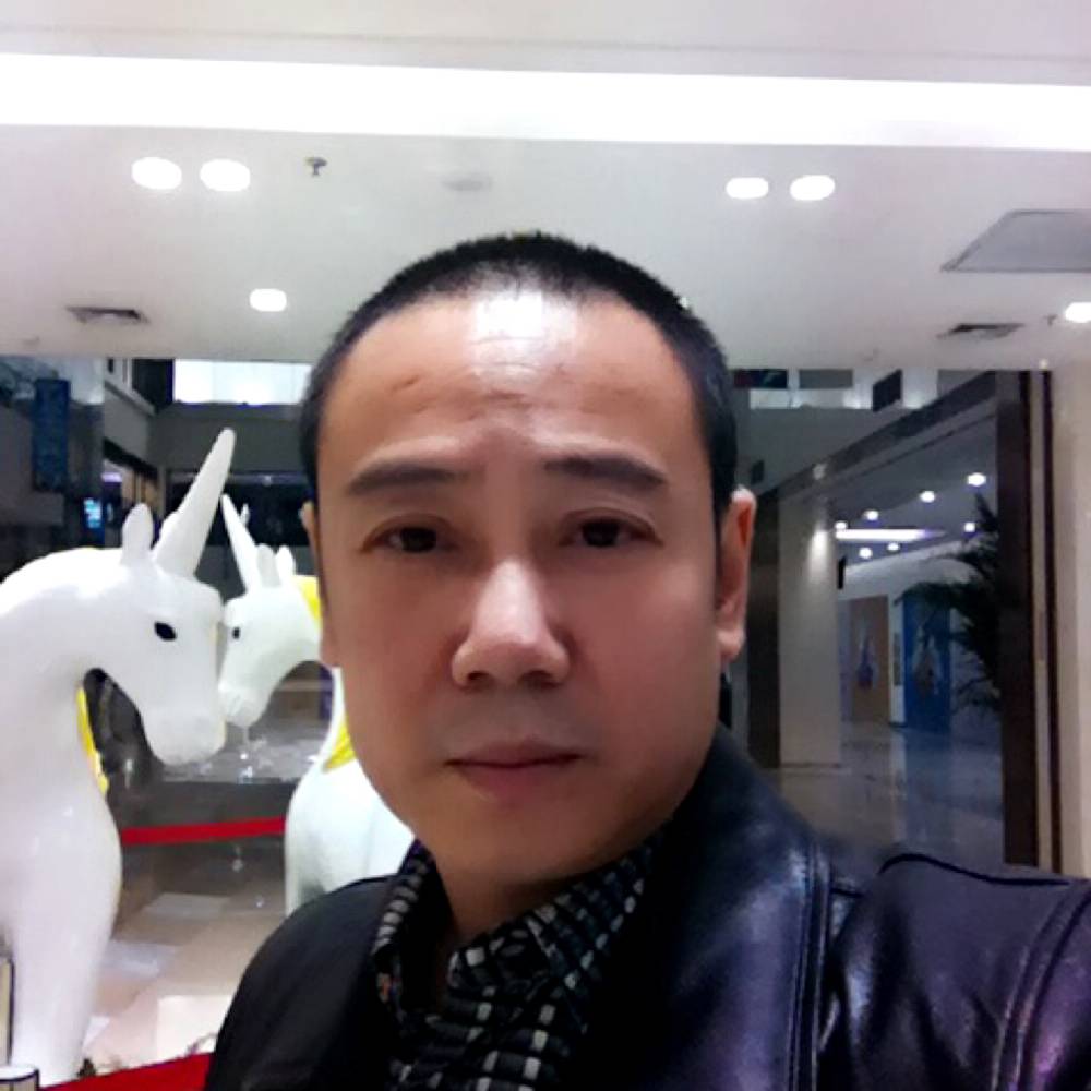 龙猫稳重的照片