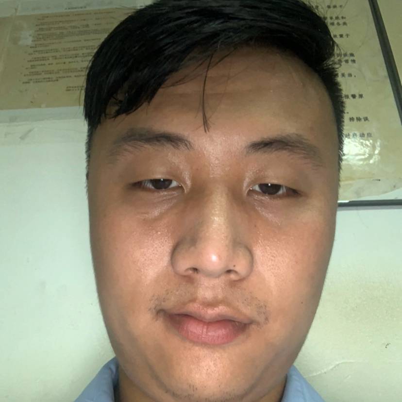 饱满停止玫瑰的照片
