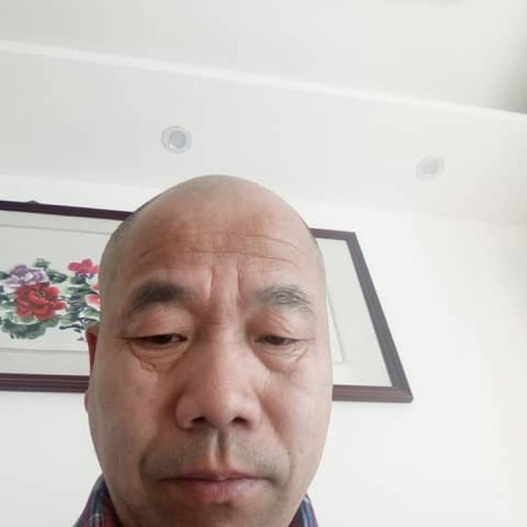 漂亮就鸭子的照片