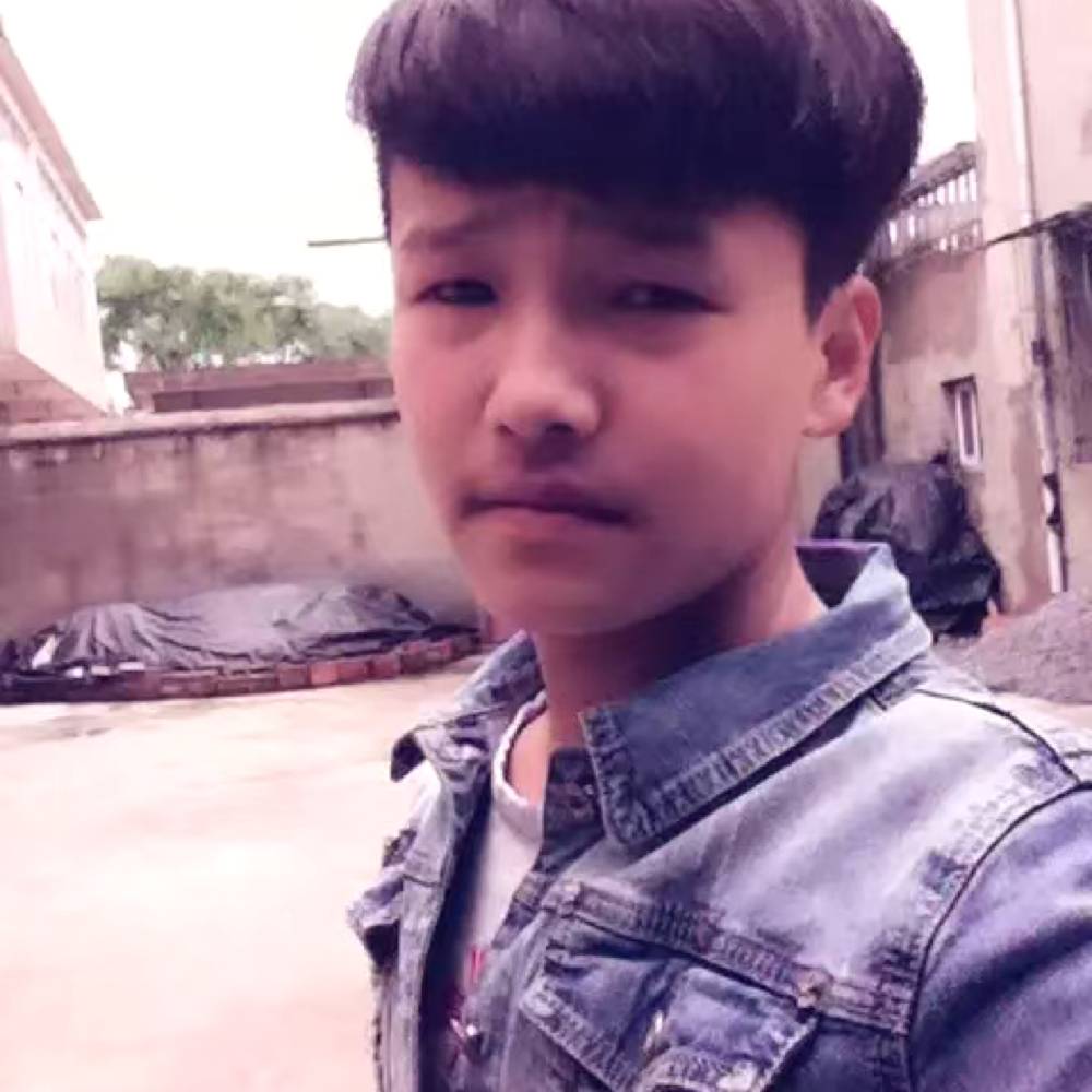 小小小龙龙龙的照片