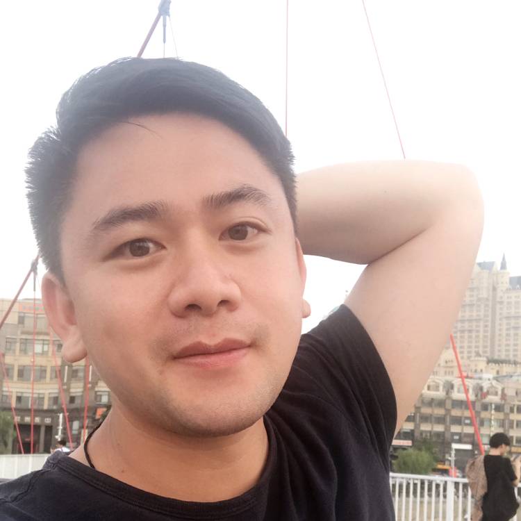 阳台上的猫的照片