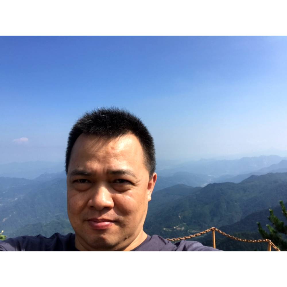 小鸭子还热心的照片