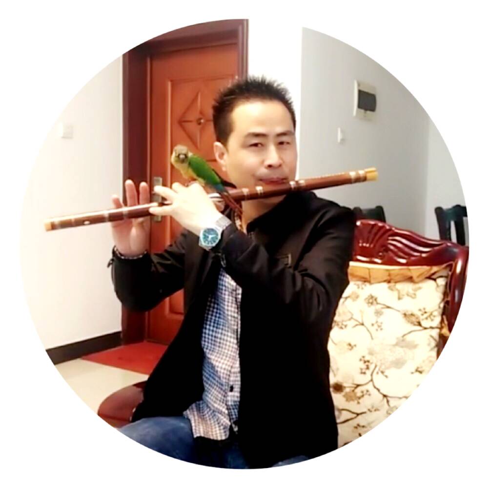 追寻泪了鲜花的照片