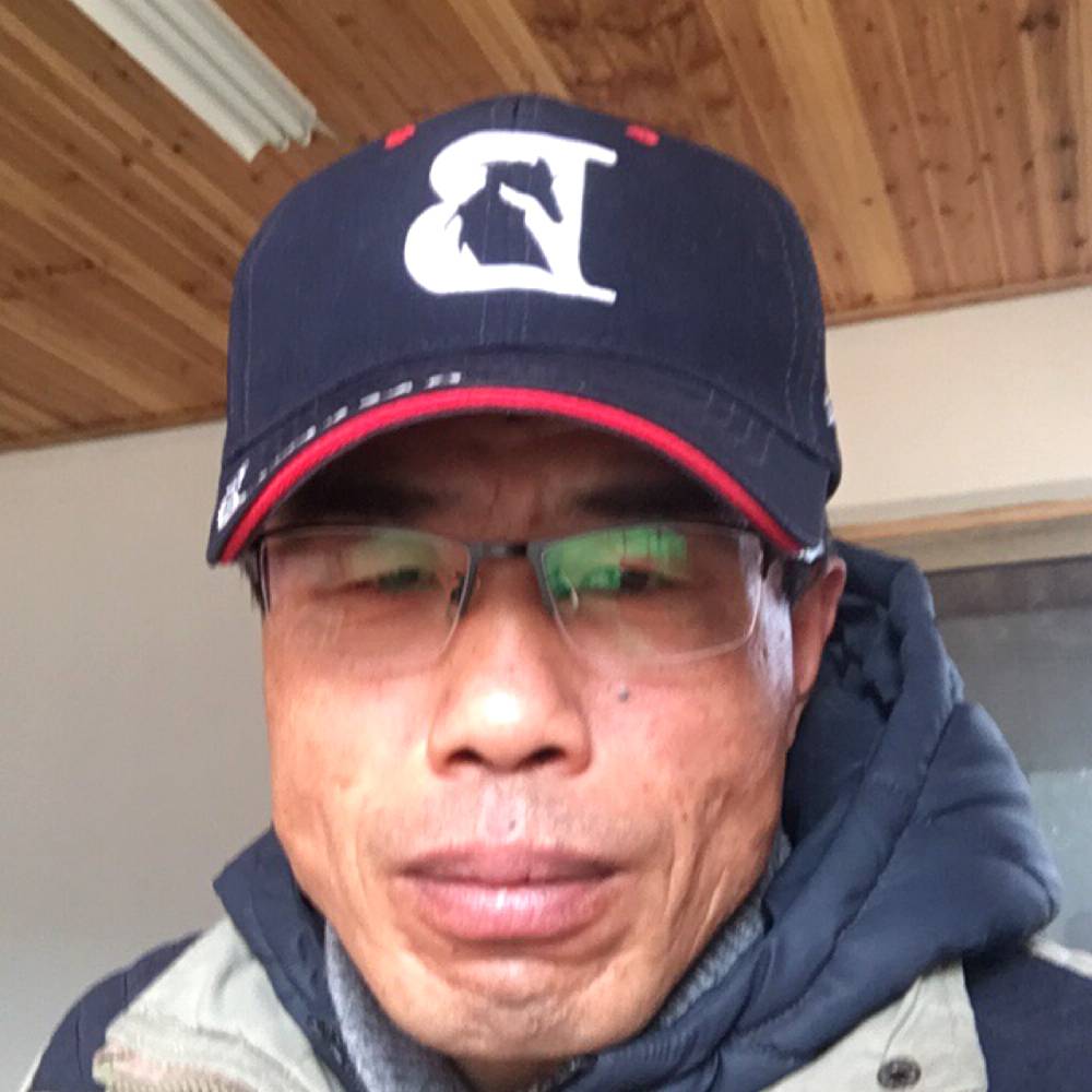 草原好的照片