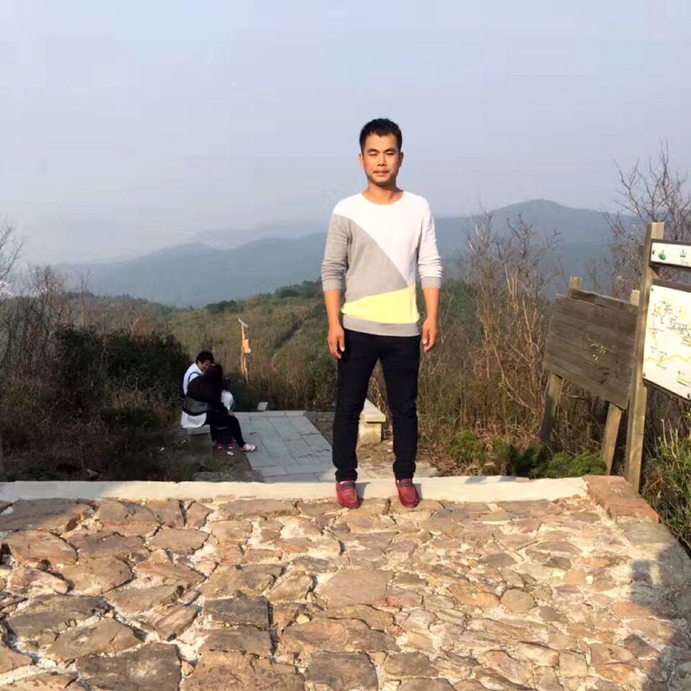 沉静向鸭子的照片