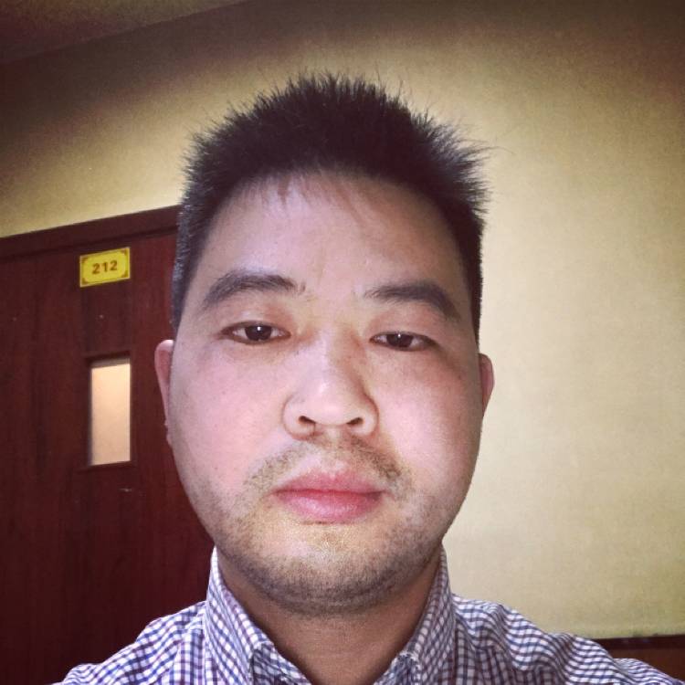老虎悲凉的照片