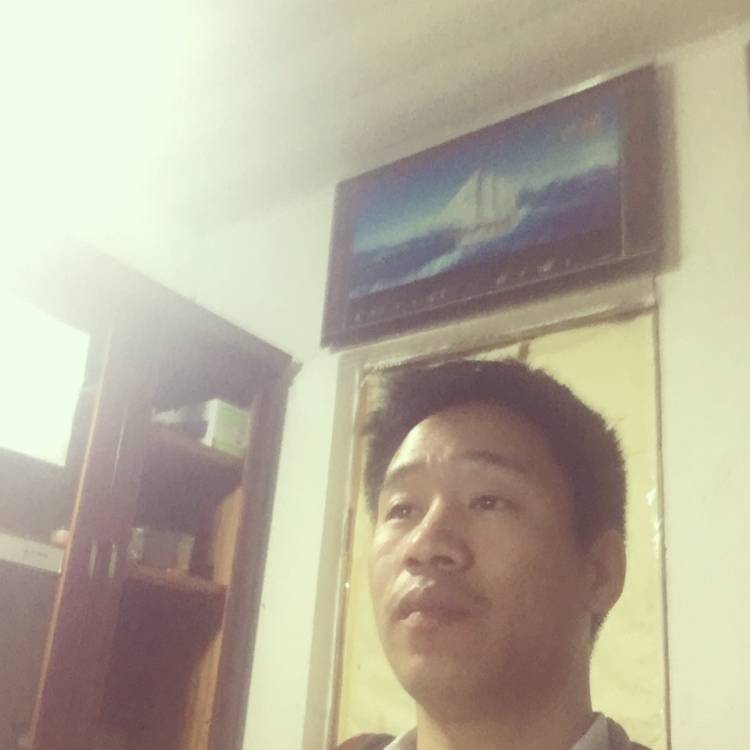 老虎漫步沉默的照片
