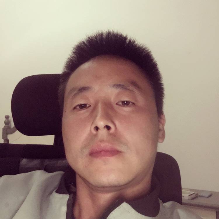 老虎与从容的照片