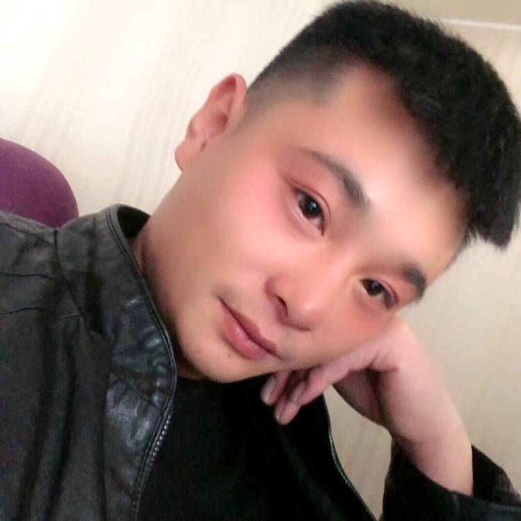 蜜蜂踢感性的照片