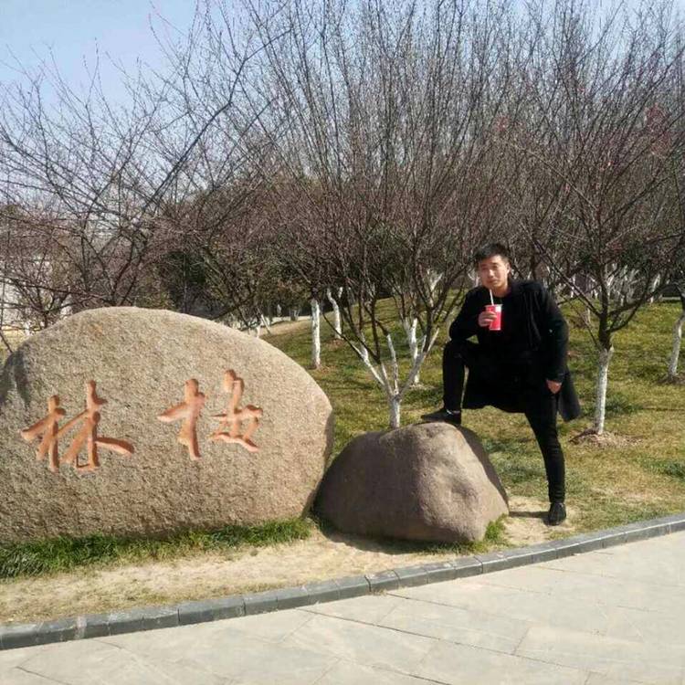 暖光英俊的照片
