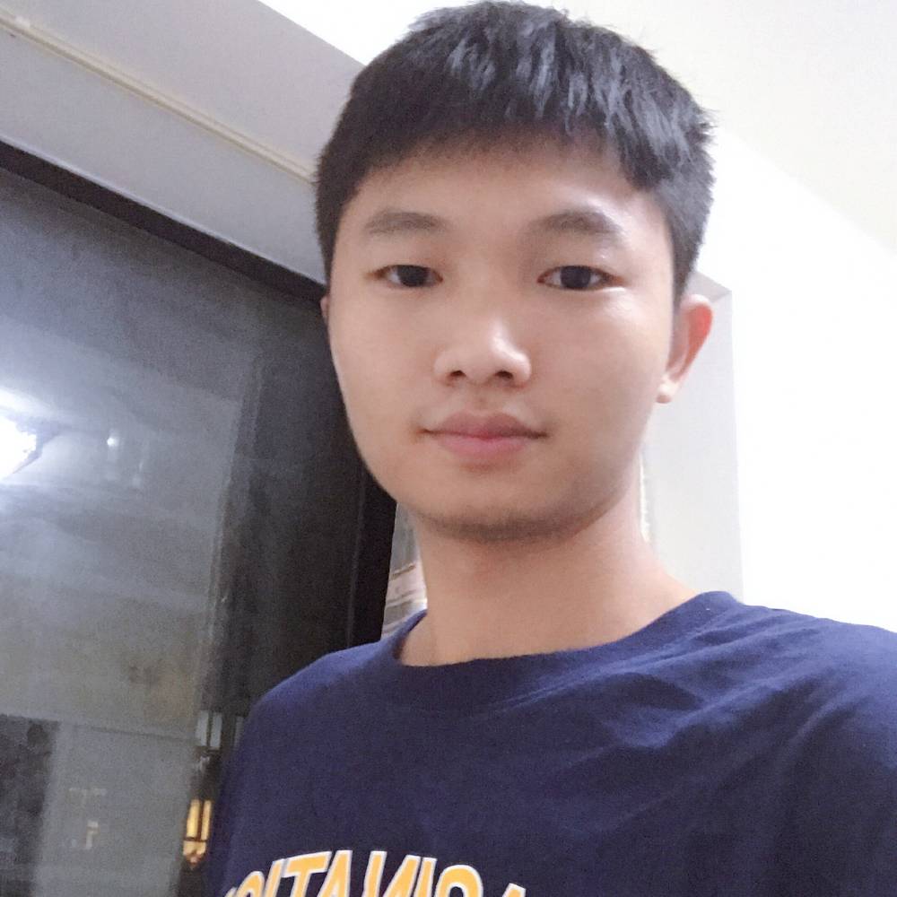 白猫迎懵懂的照片