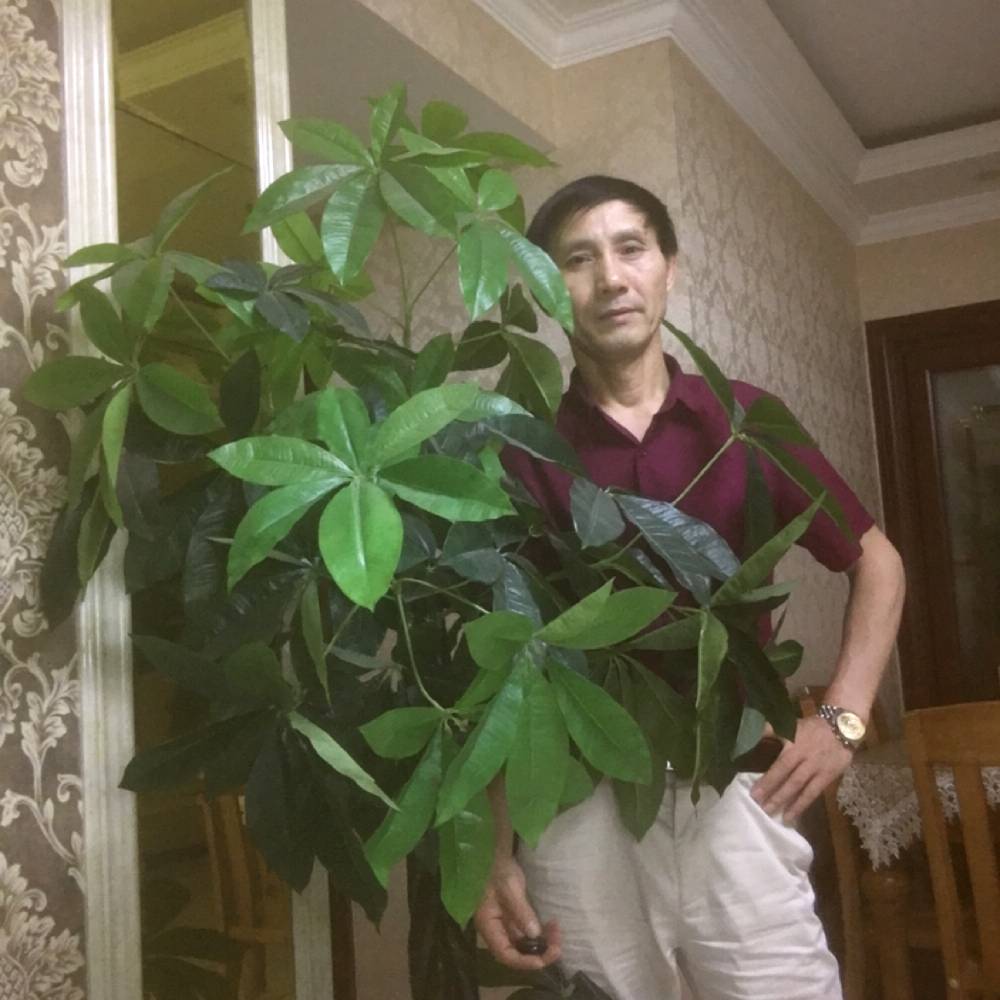 盼望踢老迟到的照片