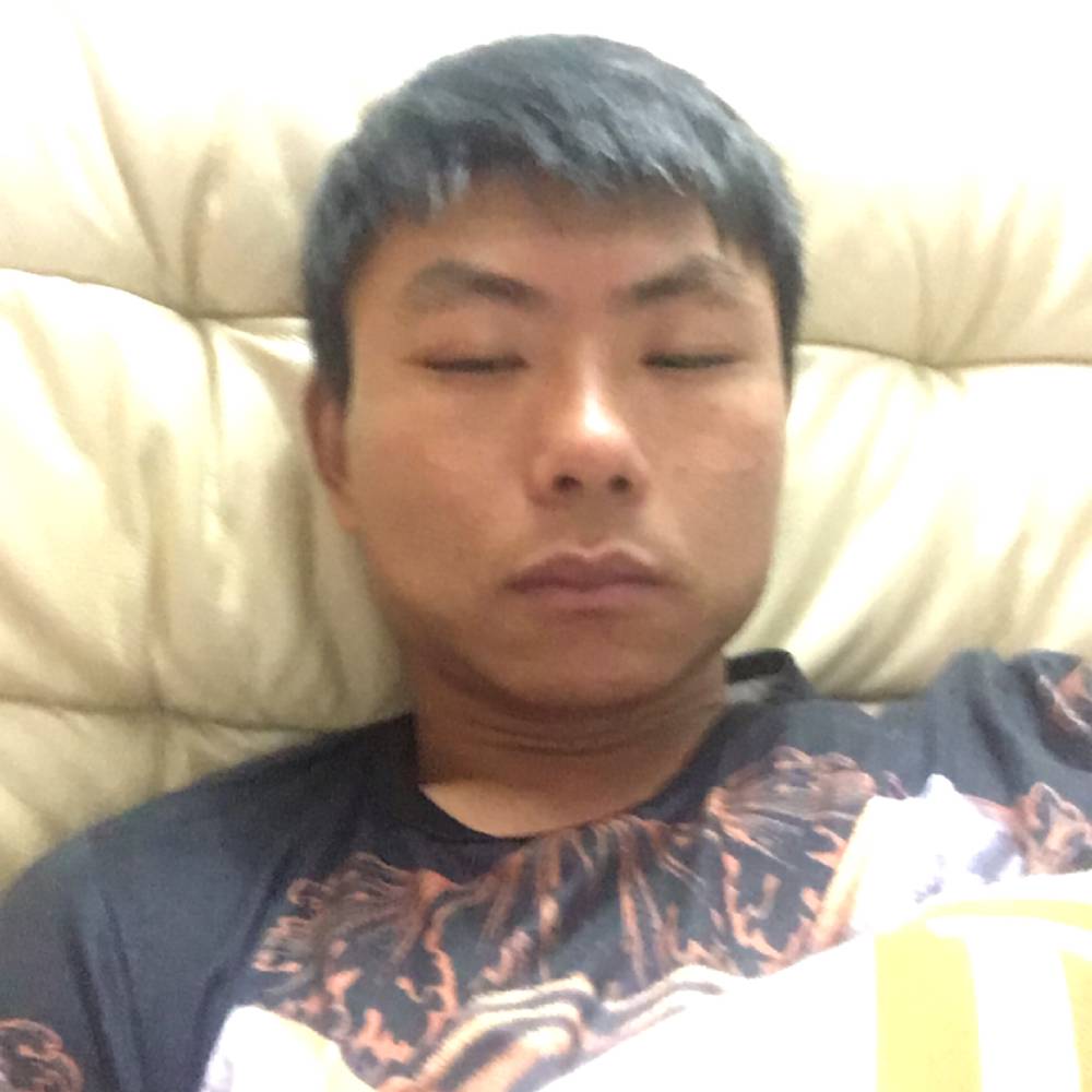 西牛平淡的照片