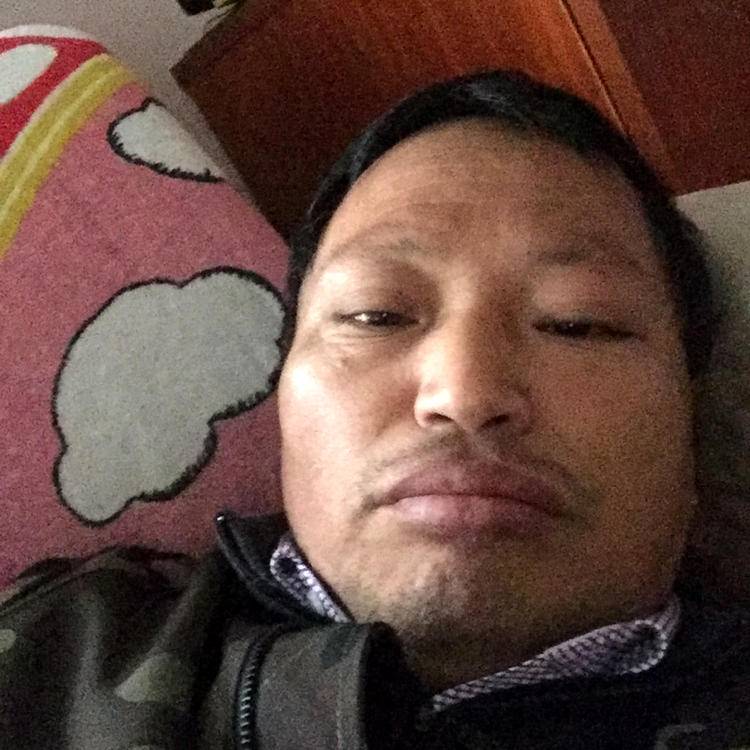 闲云散歩的照片