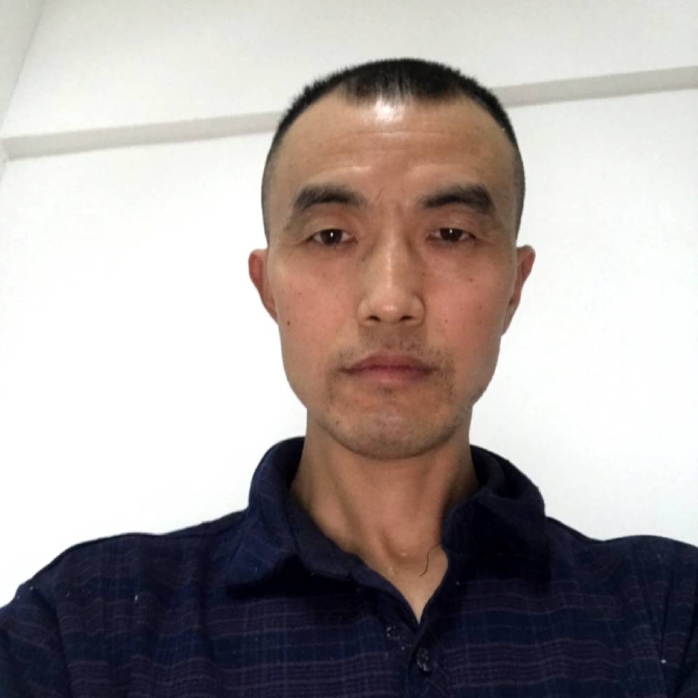 蚂蚁透彻的照片