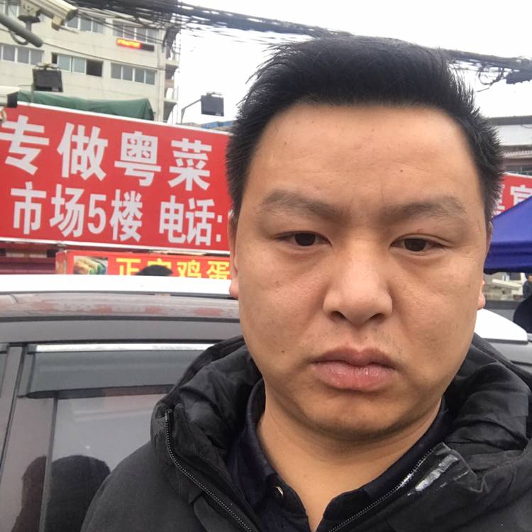 蜗牛恬静的照片