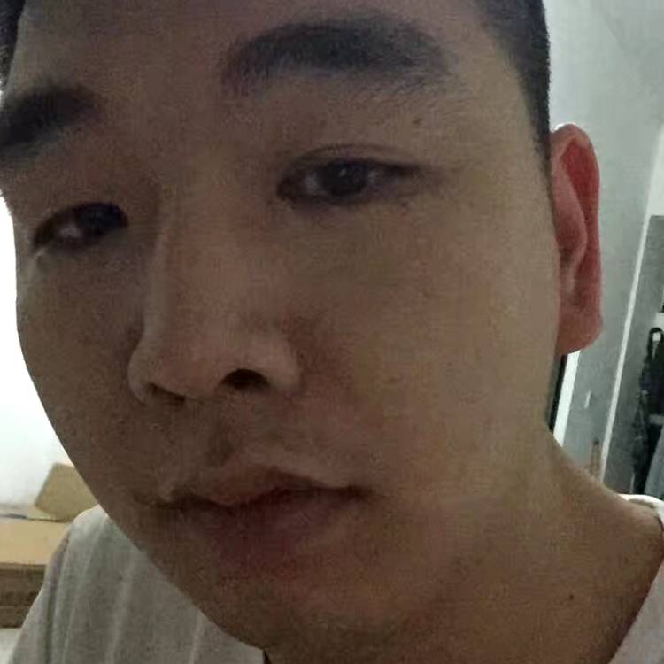 肥鹅的照片