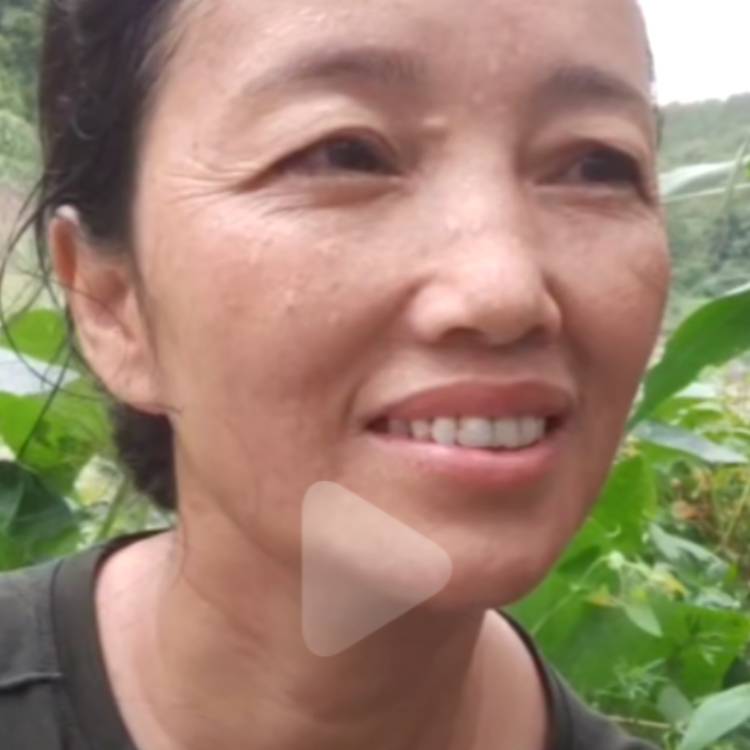 秋天苦恋繁荣的照片