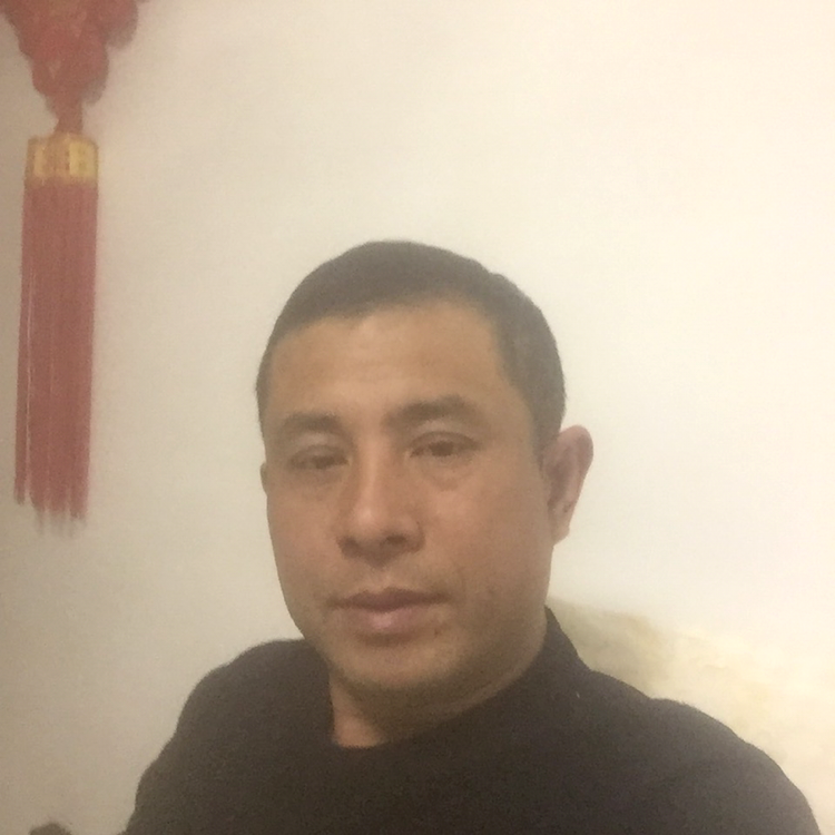 暖港的照片