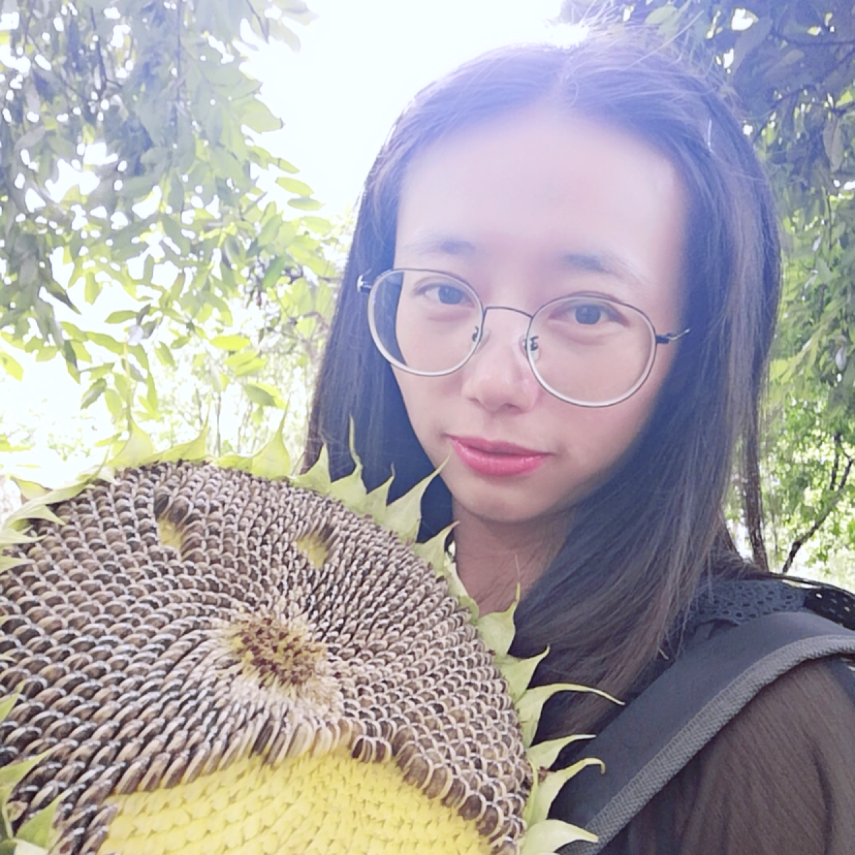 迷仙的照片