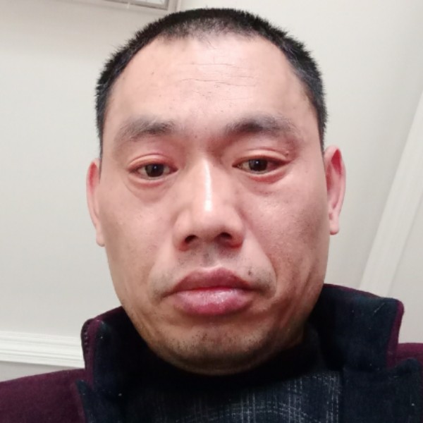 树叶深拥怡然的照片