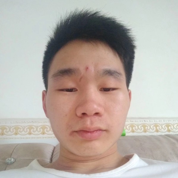 这是个哈儿的照片