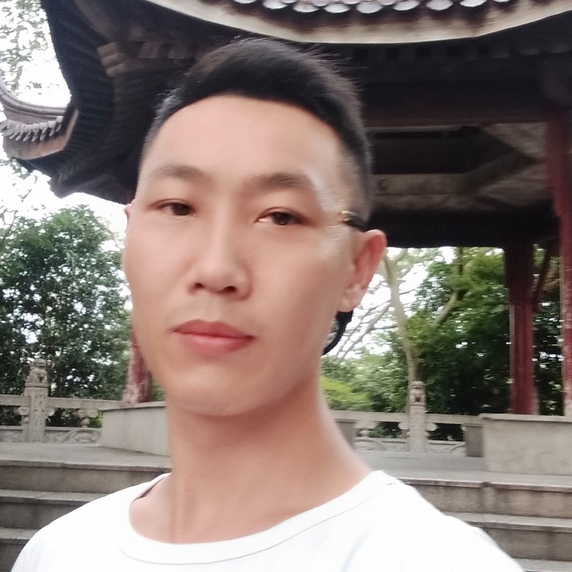 刺猬唯一的的照片