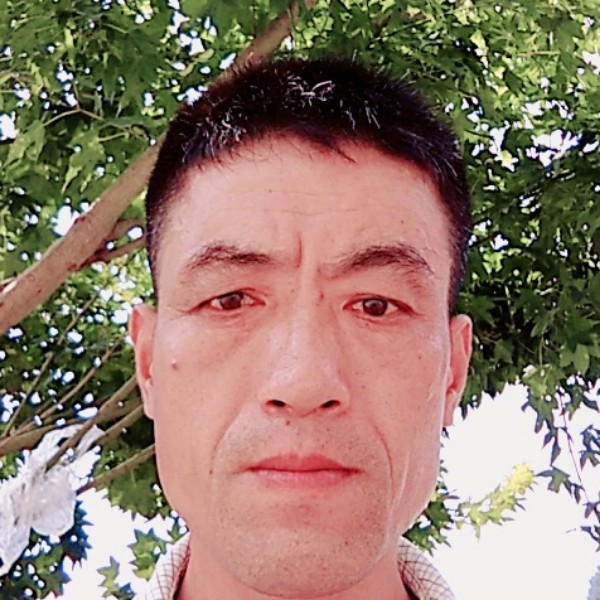 温柔方寒风的照片