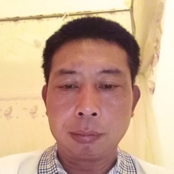 洋葱凝眸精明的照片