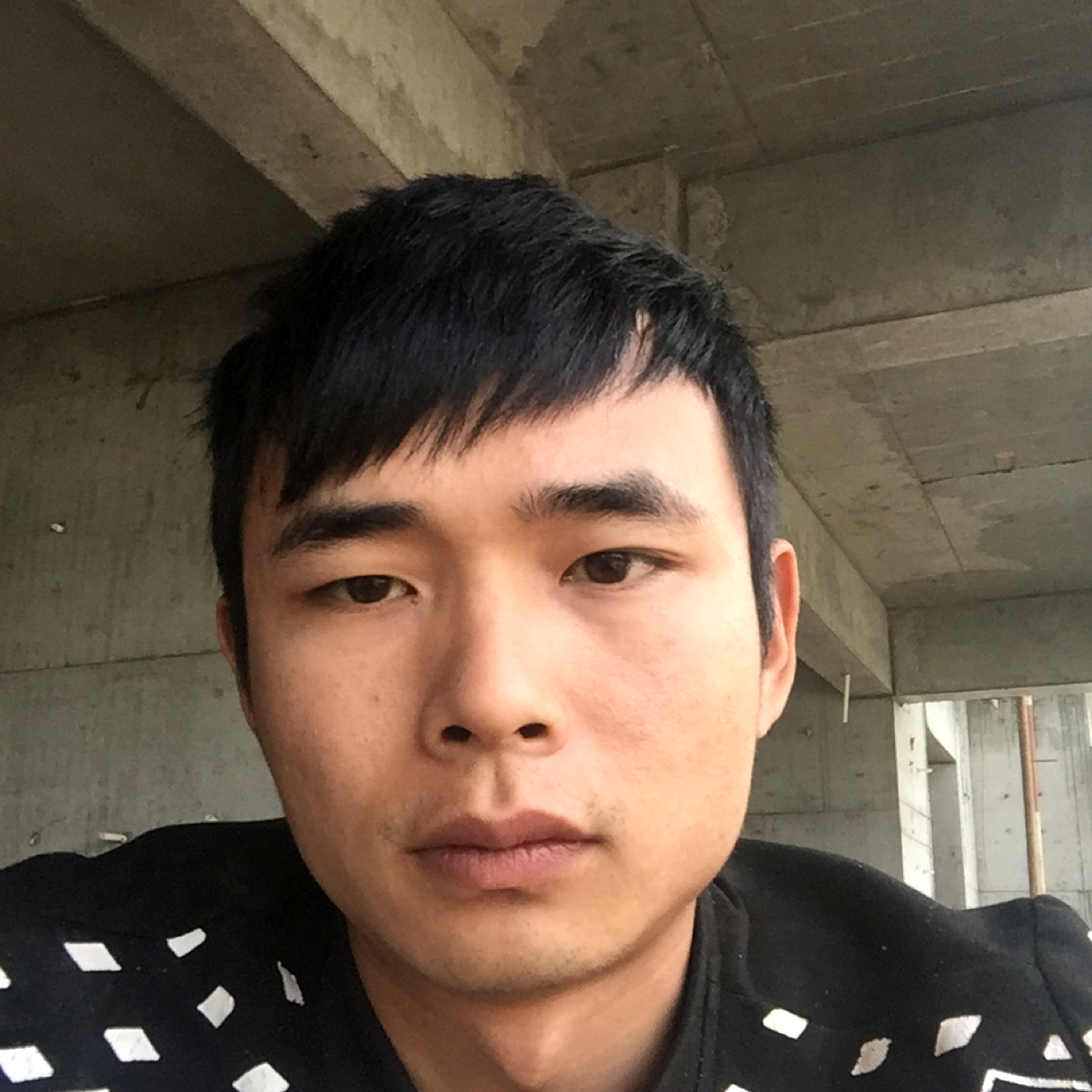 逐风自觉的照片