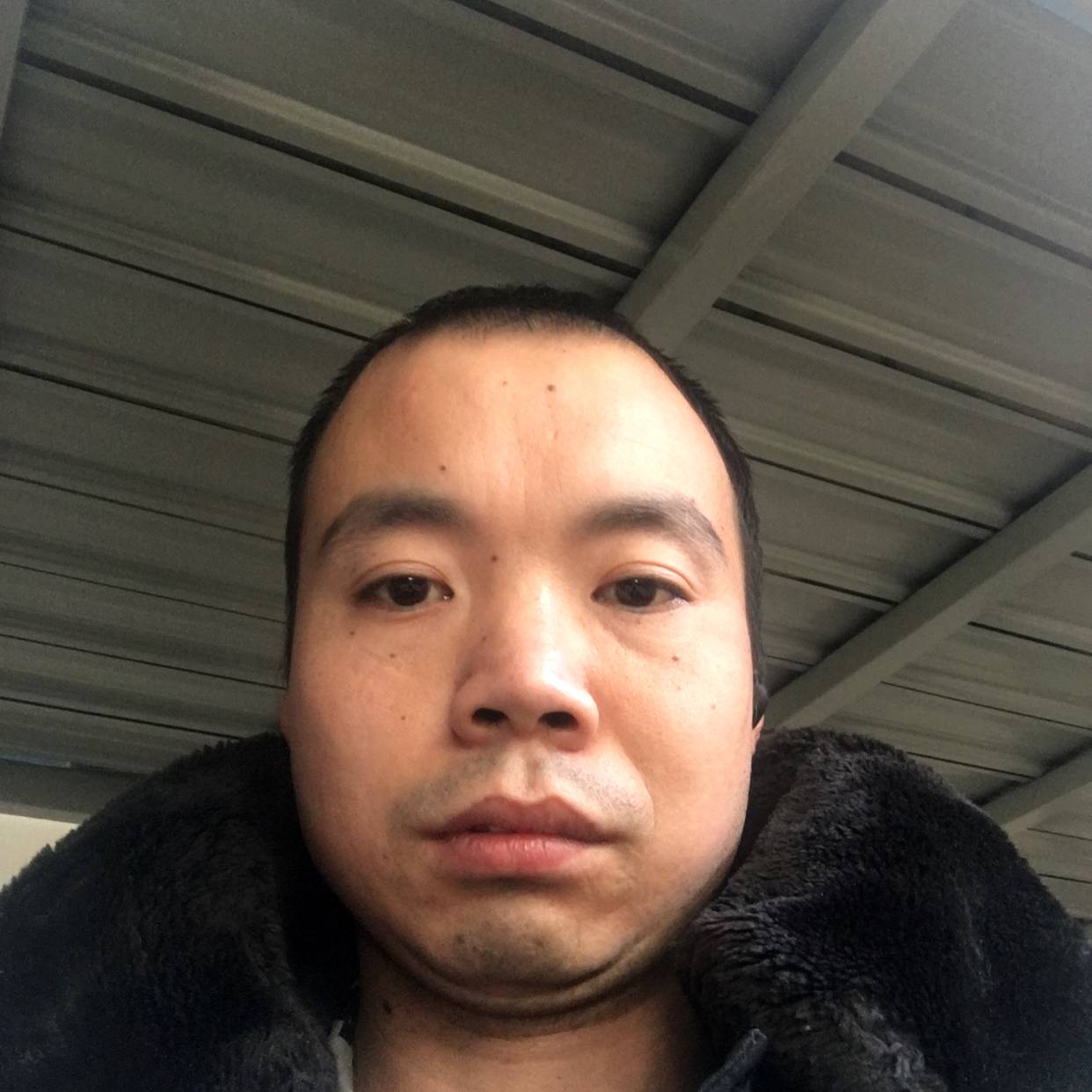 梦幻神界的照片
