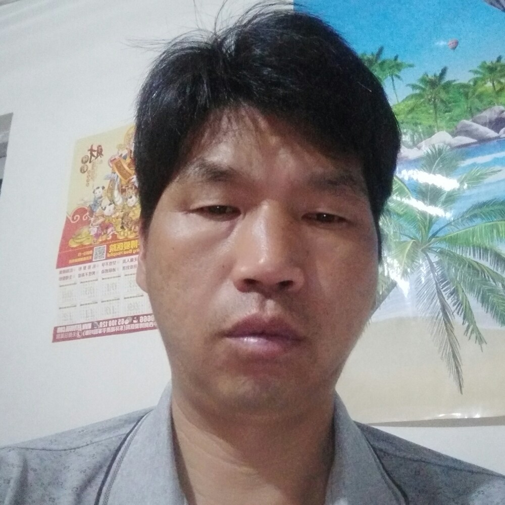 清秀向小蜜蜂的照片
