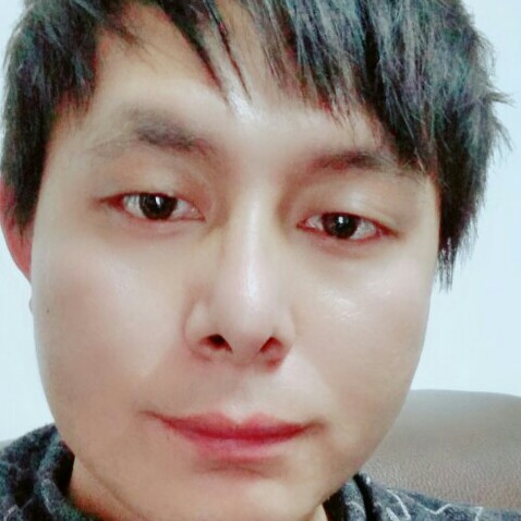 南巷有猫的照片