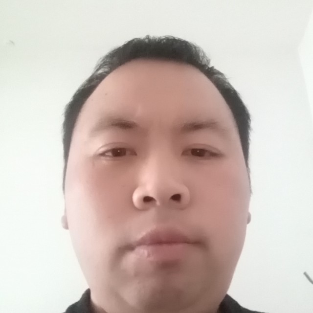 龙猫蹙眉彩色的照片
