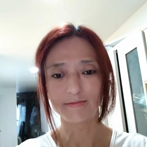 梅的照片