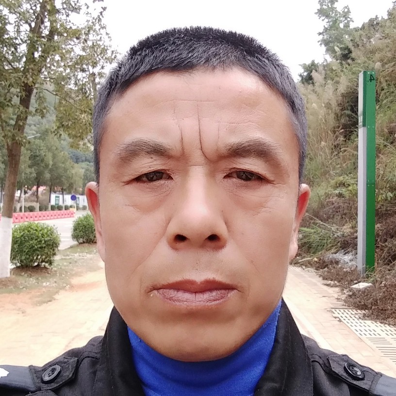 美丽的大草原的照片