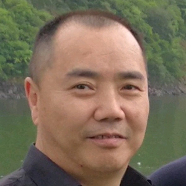 棕树的照片