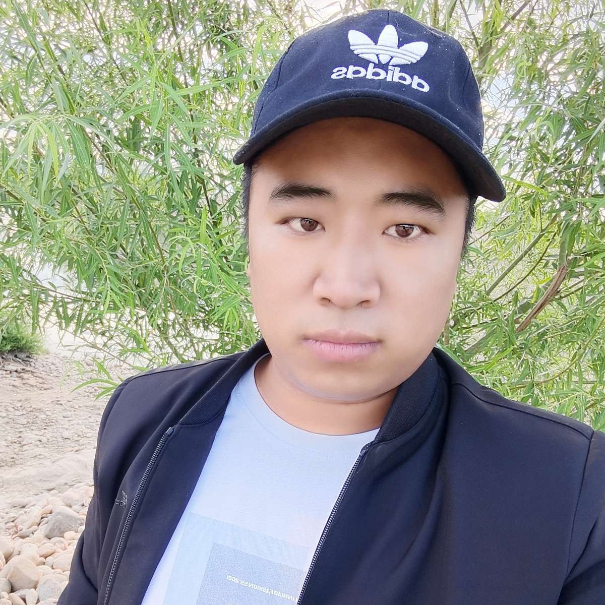 忧郁方茉莉的照片