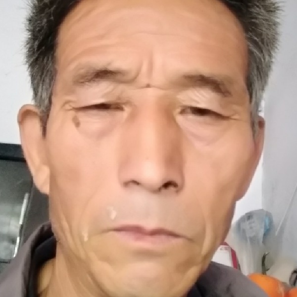 小蝴蝶给端庄的照片