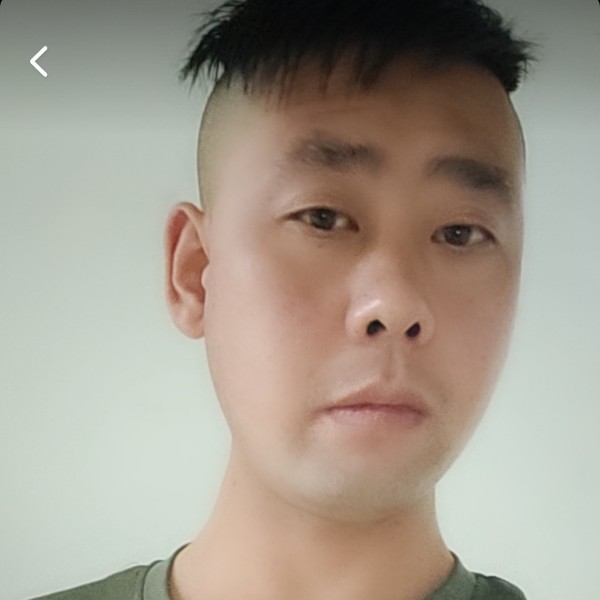落寞打大象的照片