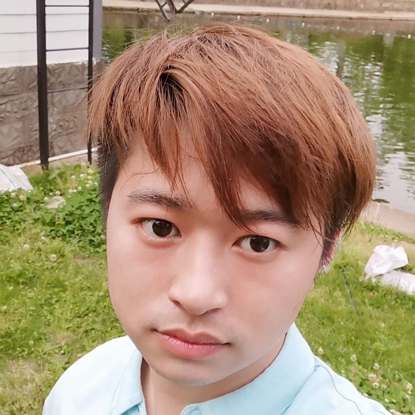 大树方高大的照片