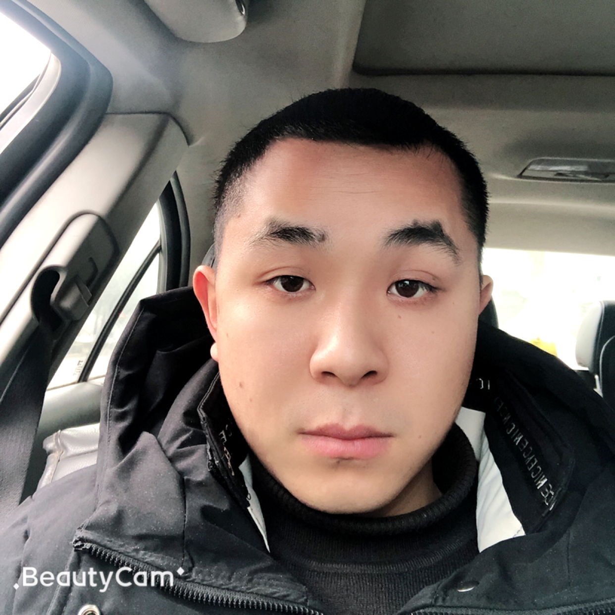 迷路浅吻小海豚的照片